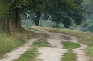 img00011