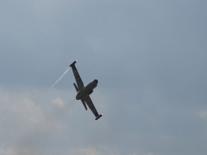 img00018