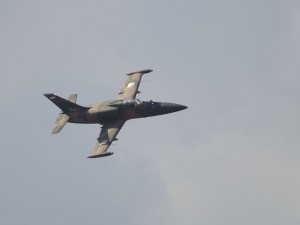 img00029