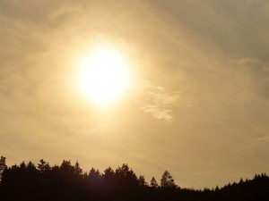img00027