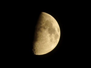img00031