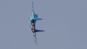 img00049