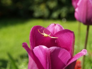 img00001