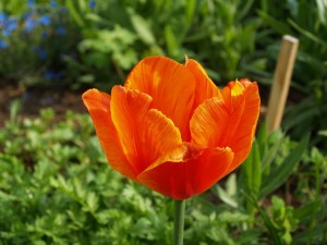 img00008