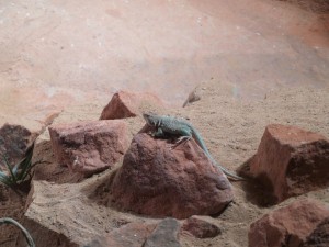 img00009