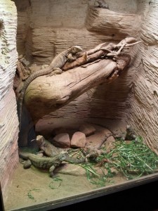 img00016