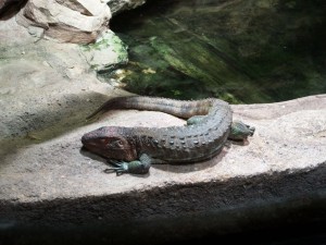 img00017