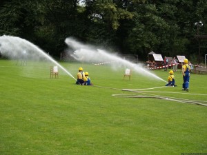 img00010