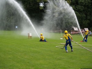 img00011