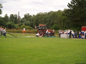 img00019