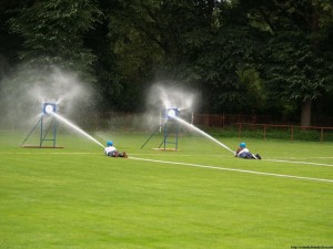 img00035