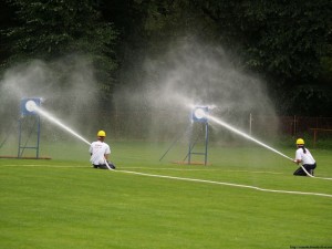 img00047