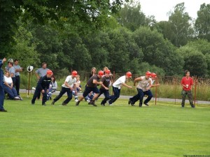 img00049