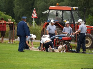 img00073
