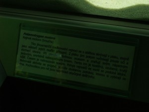 img00017