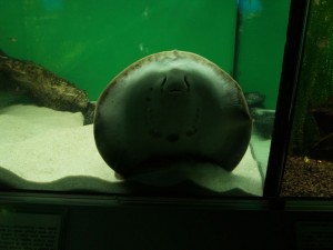 img00018