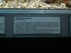 img00021