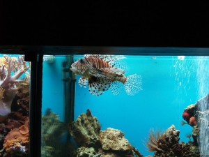 img00023