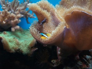 img00025