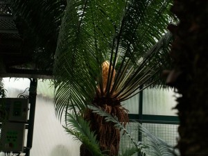 img00035