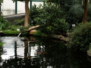 img00036