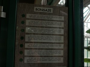 img00038