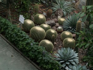 img00041