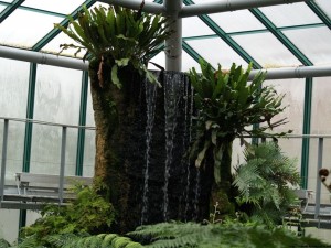 img00044