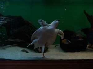 img00046