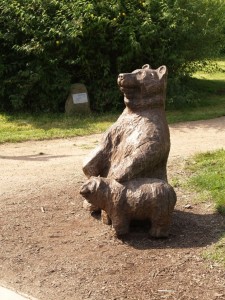img00002