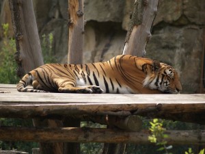 img00005