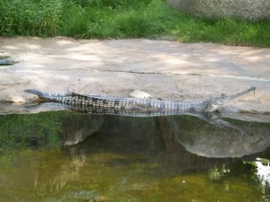 img00013