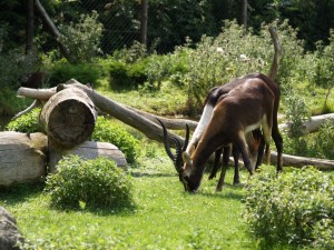 img00015