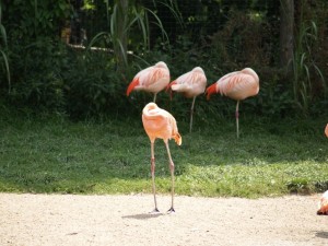 img00018