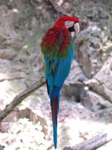 img00022