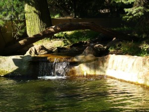 img00001