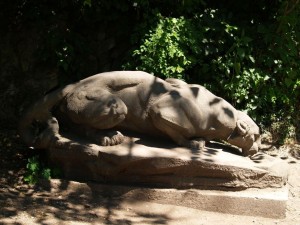 img00015