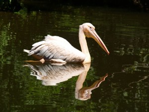img00016