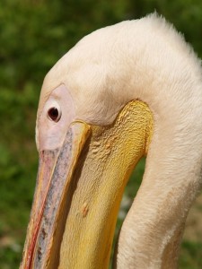 img00018