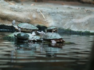 img00019