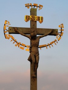 img00019