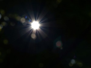 img00001
