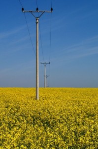 img00002