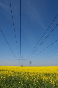 img00005