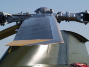 img00029