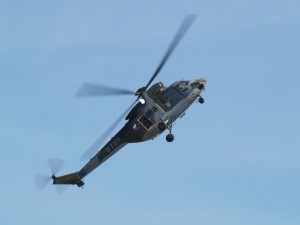 img00048
