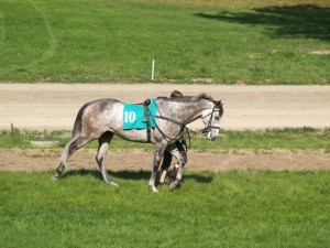 img00029