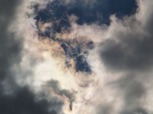 img00035