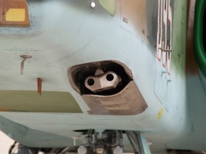 img00019
