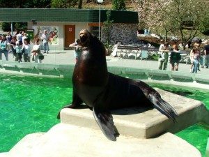 img00009